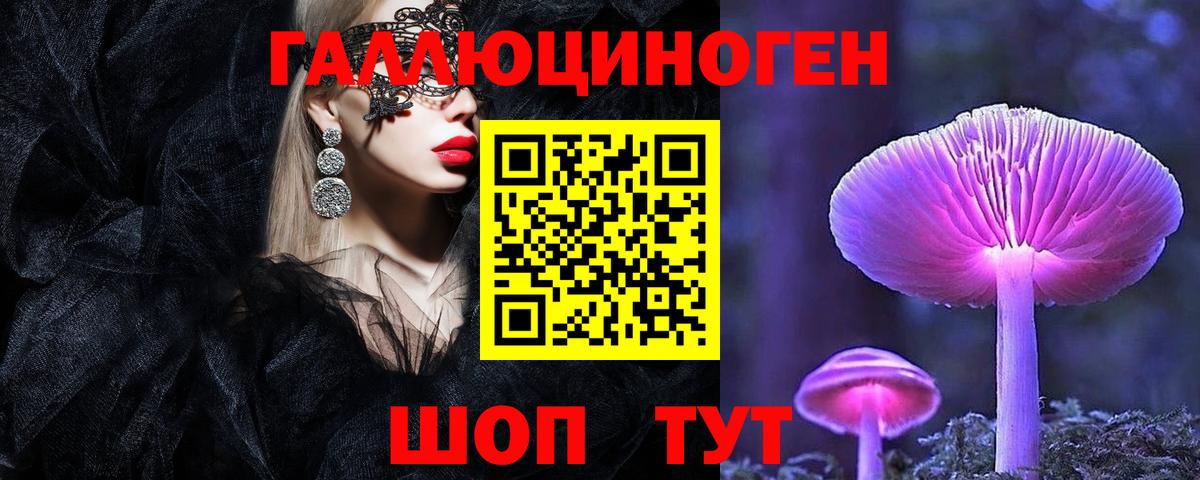 Буйнакск  где купить   Вход с VPN  Галлюциногенные грибы прущие грибы  Галлюциногенные грибы GOLDEN TEACHER 